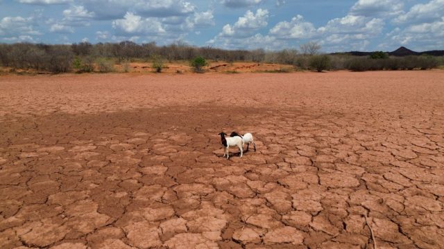 Tanques Secos Em Diferentes Pontos Da Zona Rural, São João do Piauí